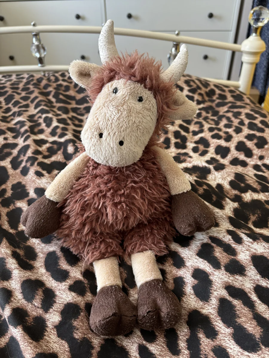 Front - Tiggalope Highland Cow photo by Emschuds