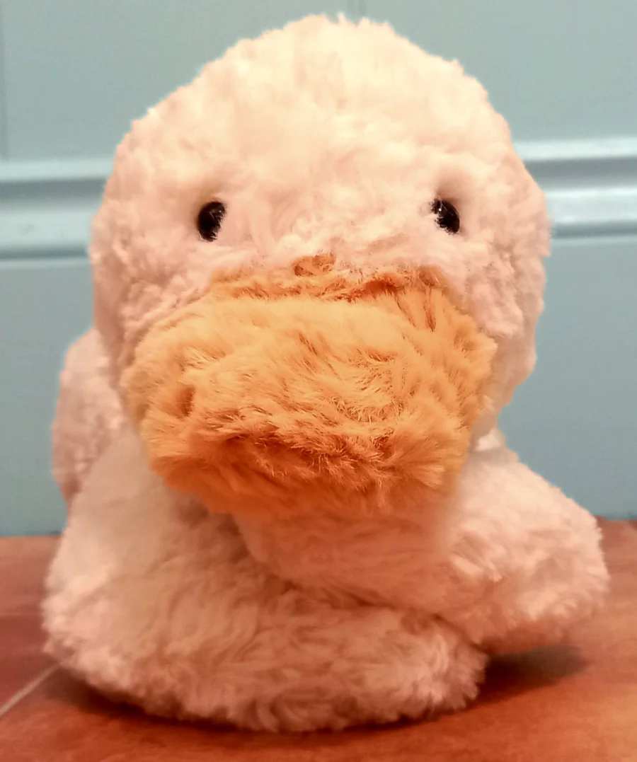 Front - Tumblie Duck photo by Bashful_Brownie