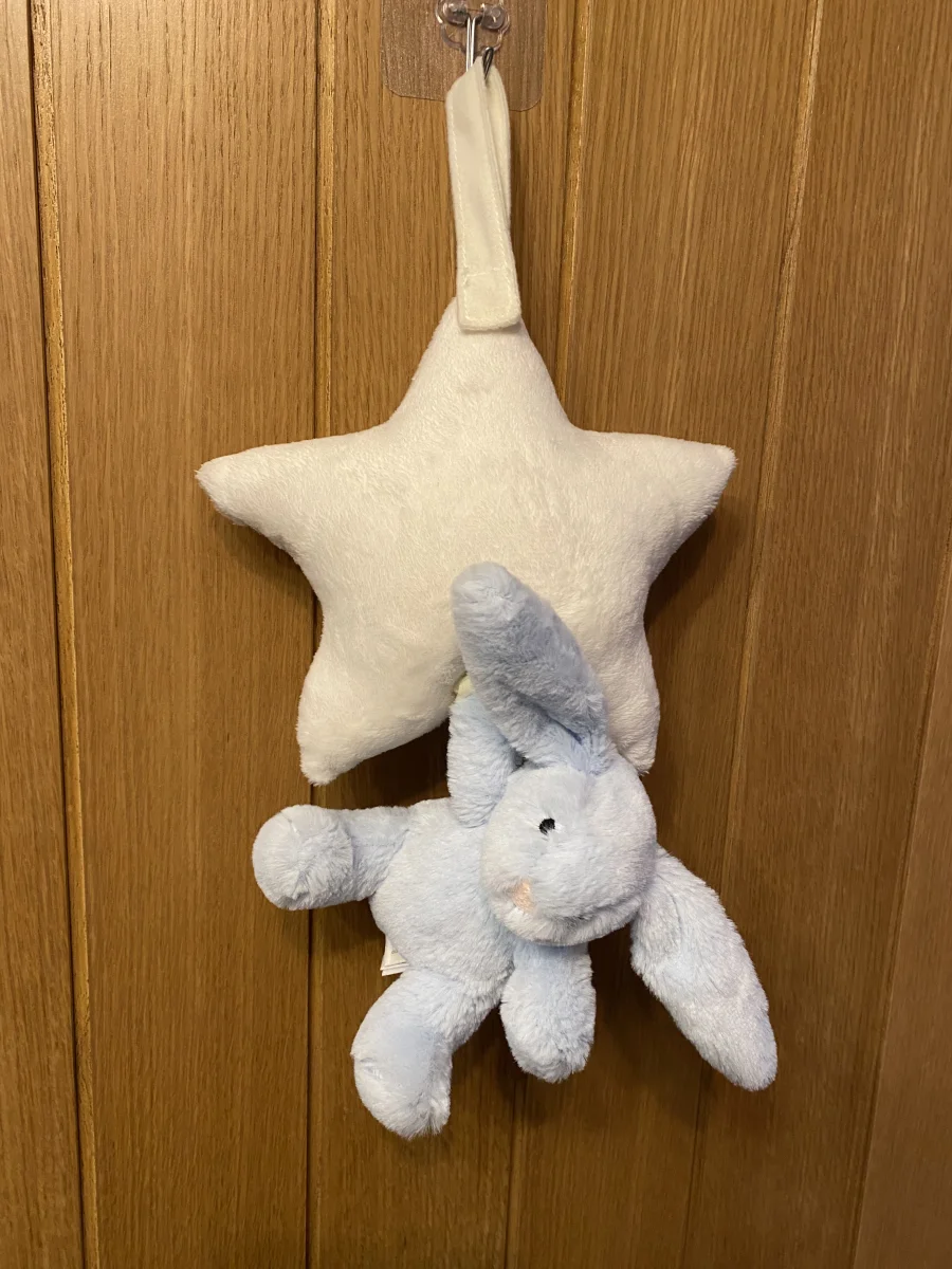 Front - Bashful Blue Bunny Star Musical Pull photo by Emmahope