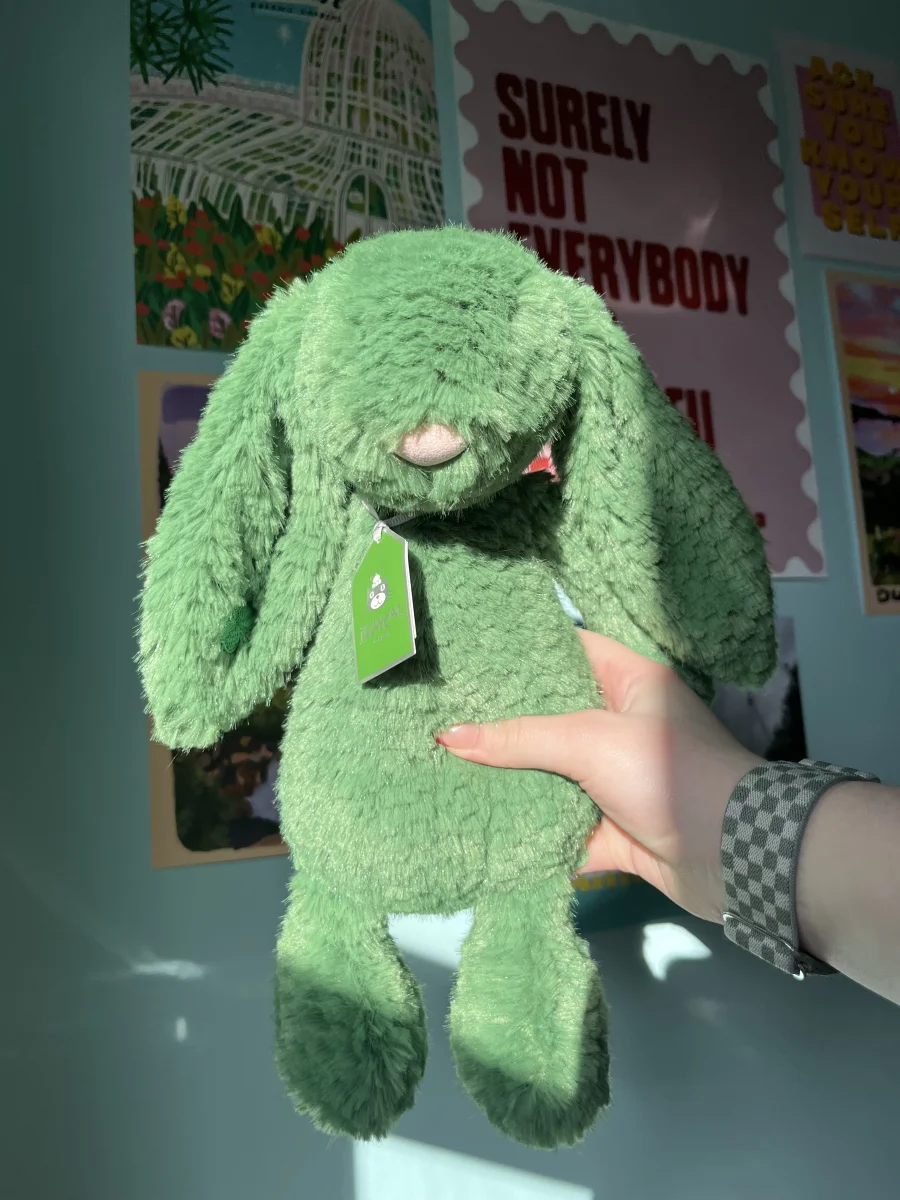 Front - Bláthnaid Bunny photo by paigey