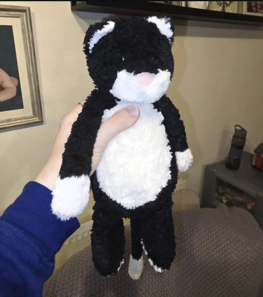 Front - Bashful Black & White Cat - Medium photo by Gremlem22NBC
