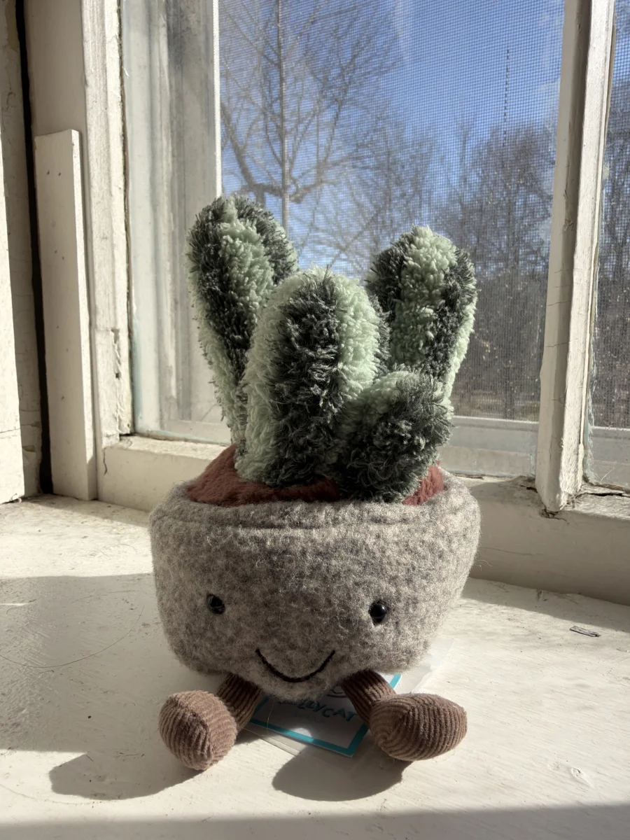 Front - Silly Succulent Columnar Cactus photo by katsjellies