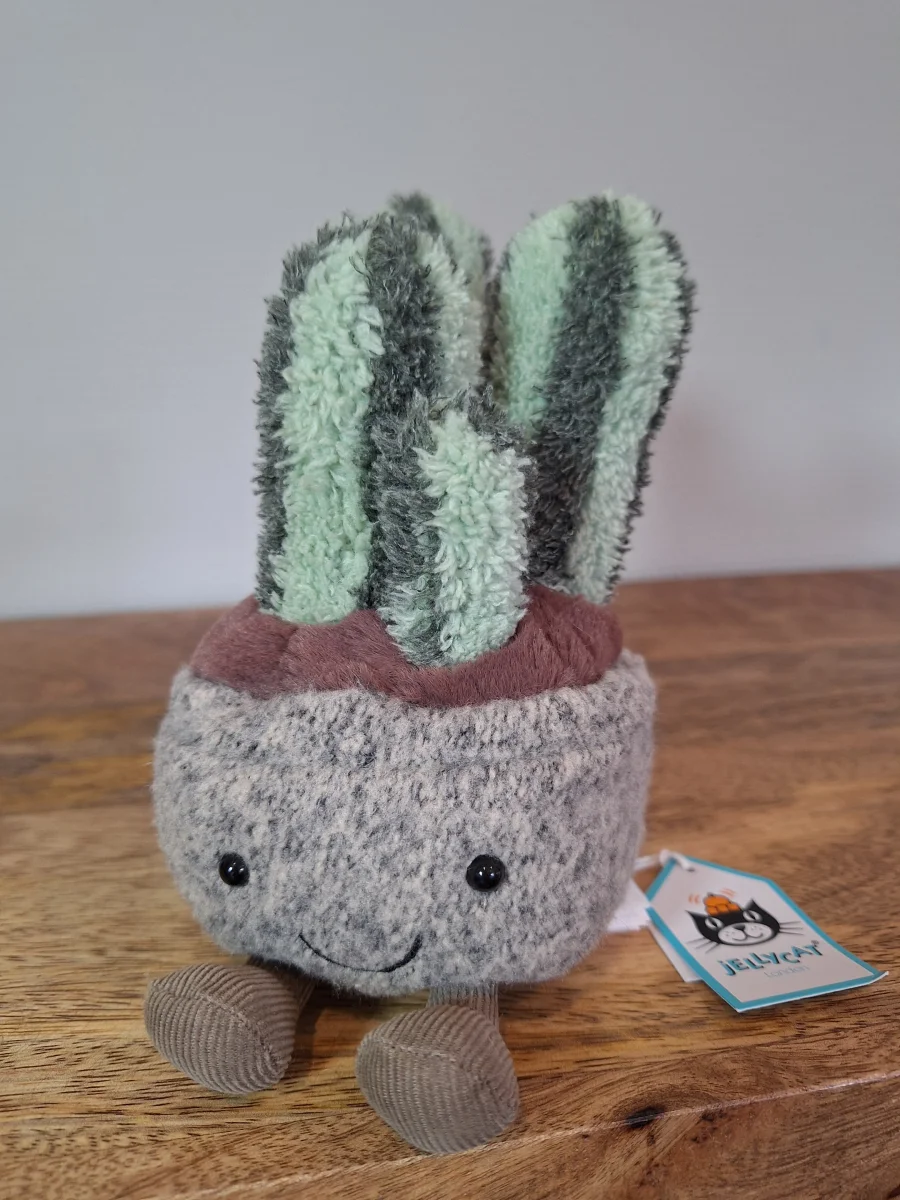 Front - Silly Succulent Columnar Cactus photo by Sofie