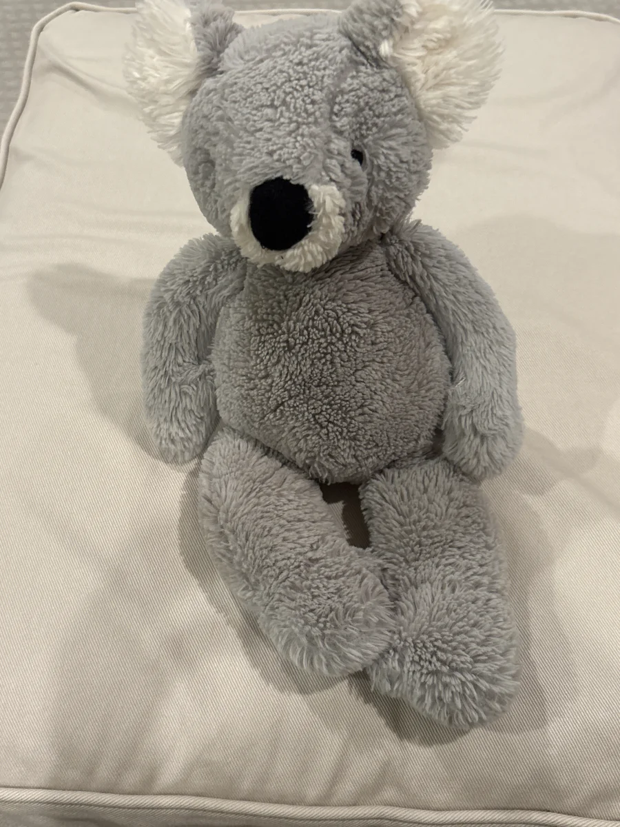 Front - Bashful Koala (2011) photo by EatCrayonsBoy
