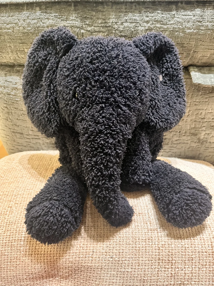 Front - Splootie Elephant photo by BillieHarv