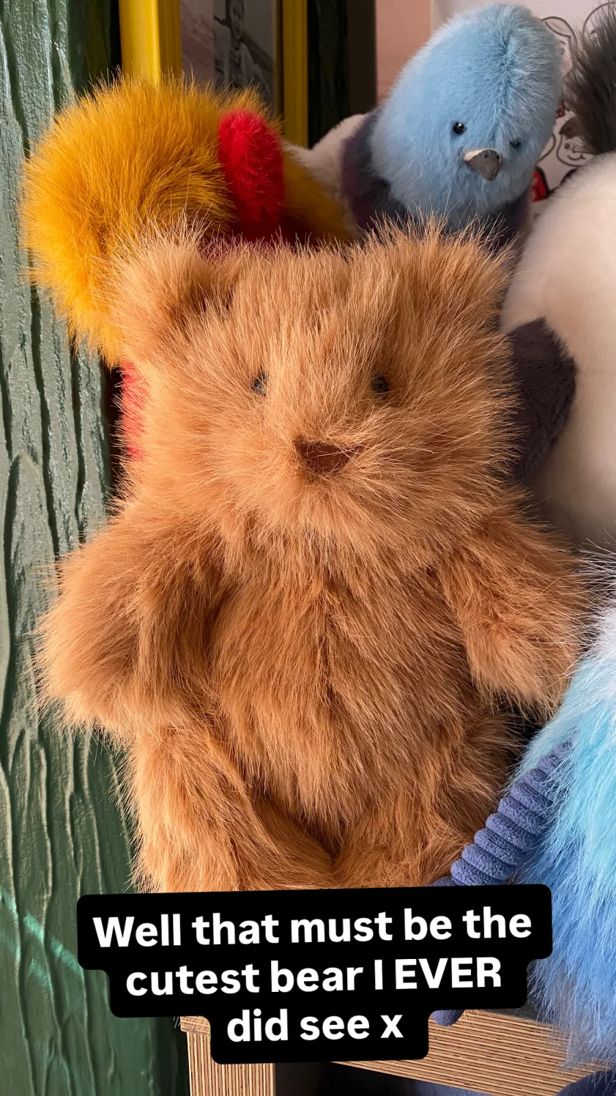 Front - Bartholomew Bear Bouffant photo by Elaine