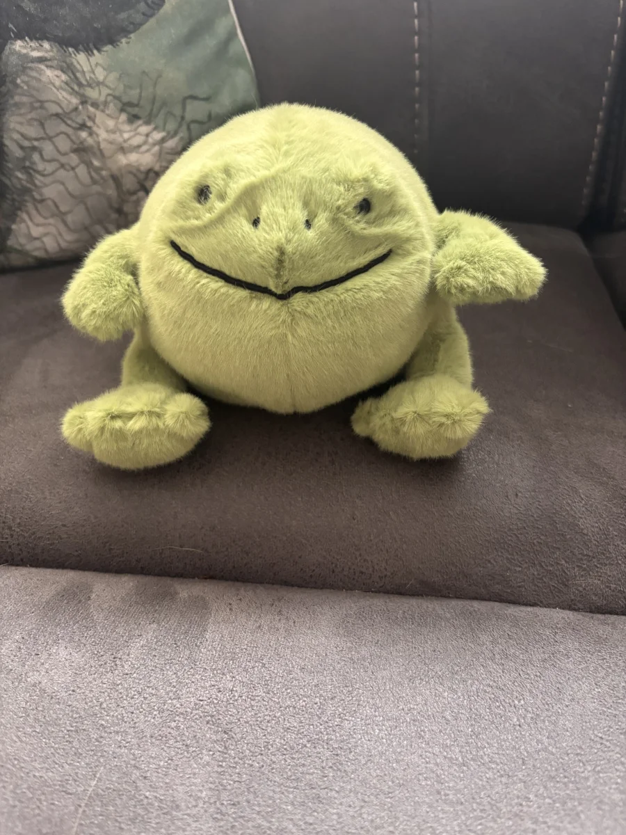 Front - Ricky Rain Frog Smiling photo by CharlieP