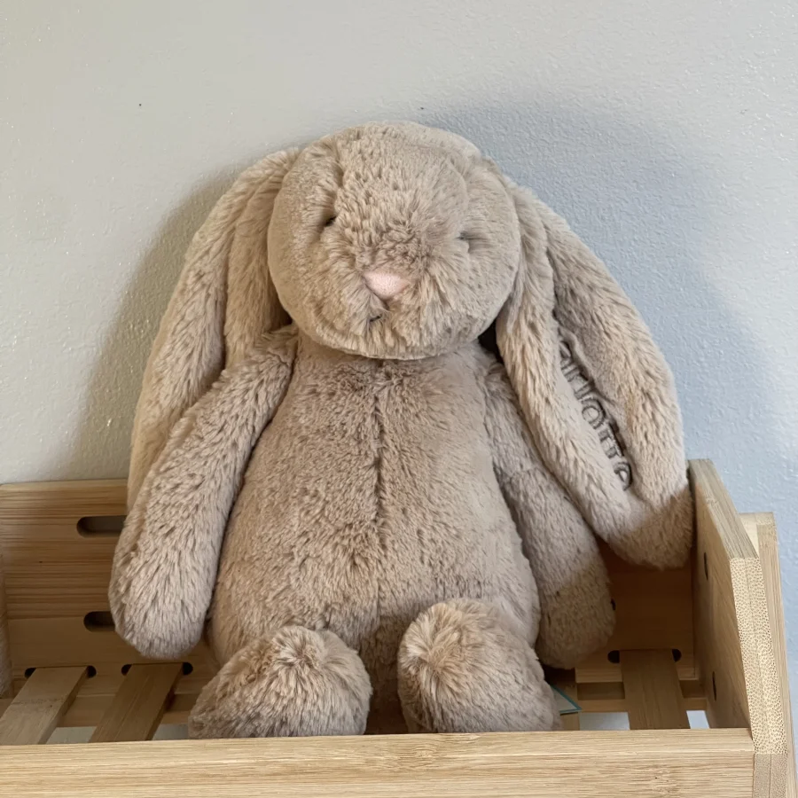 Front - Bashful Beige Bunny - Medium photo by charlotteriddettepage
