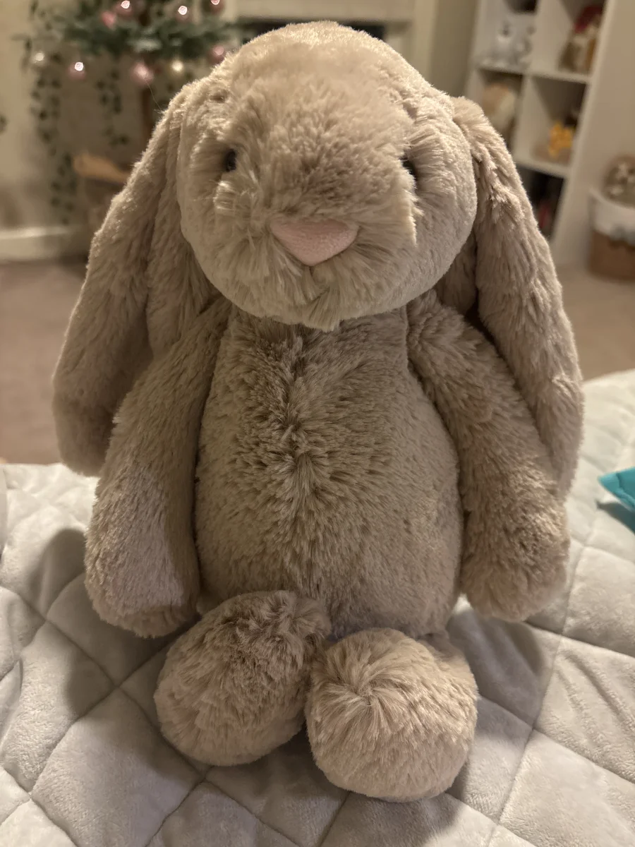 Front - Bashful Beige Bunny - Medium photo by mias_jellycats