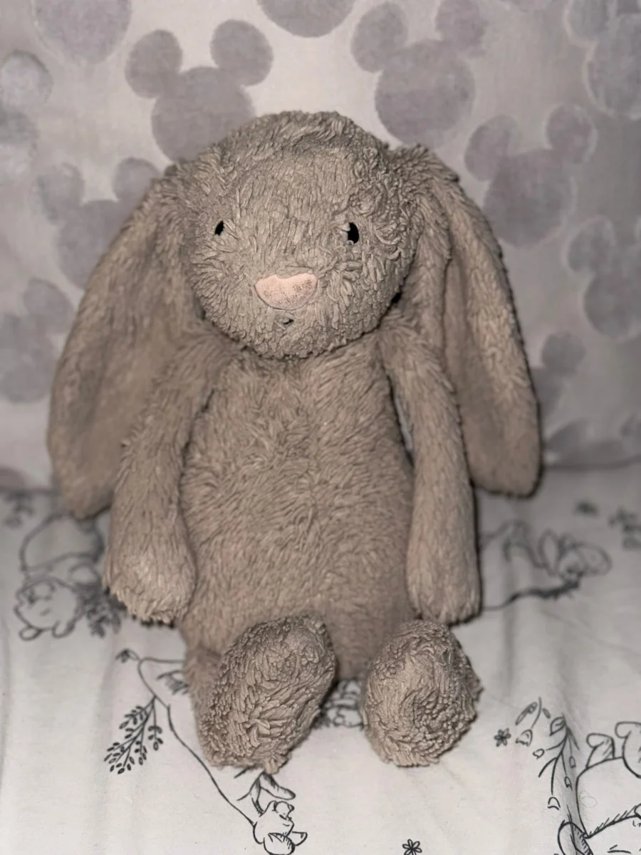 Front - Bashful Beige Bunny - Medium photo by Rara11xo
