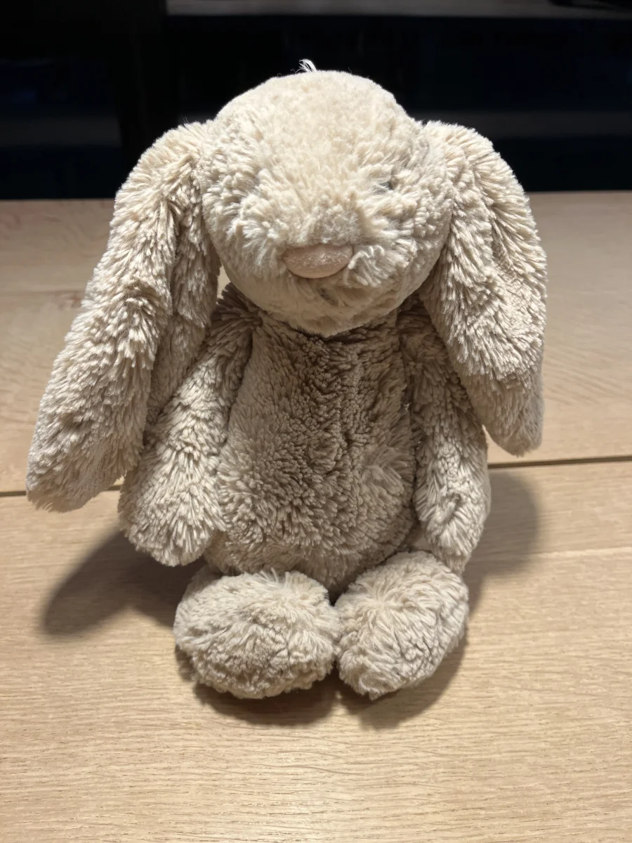 Front - Bashful Beige Bunny - Medium photo by SofieA
