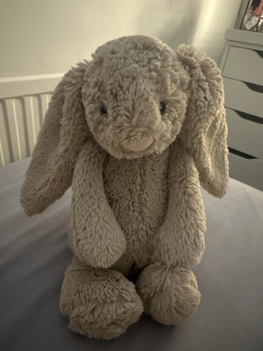 Front - Bashful Beige Bunny - Medium photo by TD