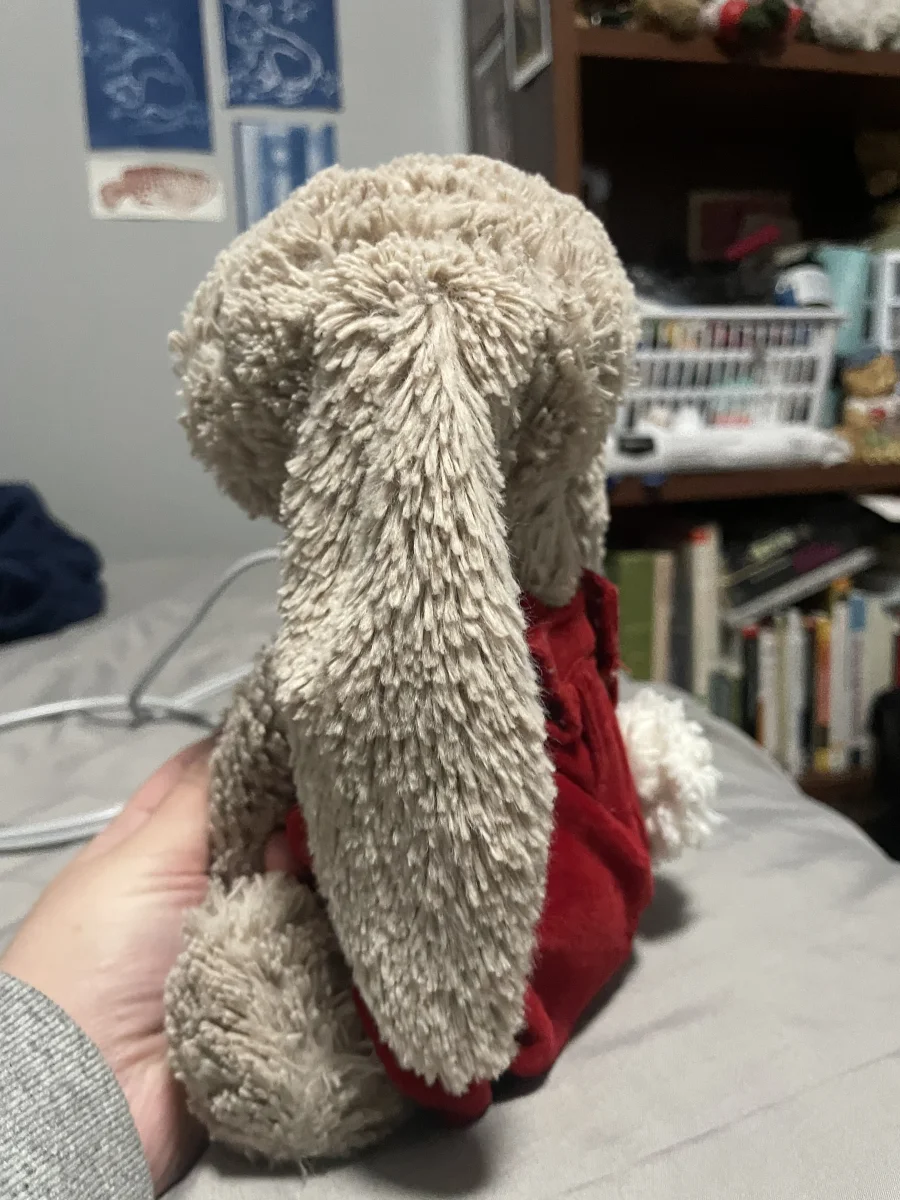 Side - Bashful Beige Bunny - Medium photo by teddybutch