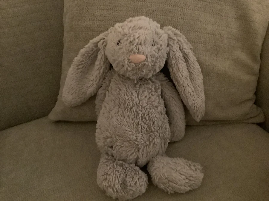 Front - Bashful Beige Bunny - Medium photo by Sophiatunni4567