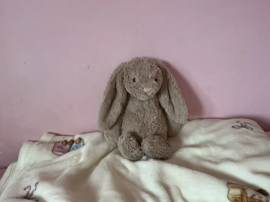Front - Bashful Beige Bunny - Medium photo by *jellycatGirl*