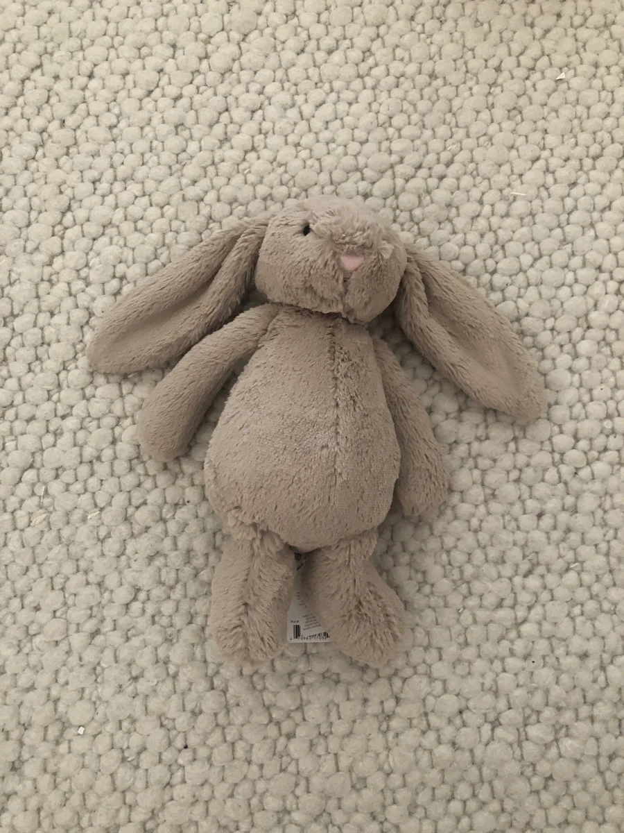 Lifestyle - Bashful Beige Bunny - Medium photo by MajaJellycat
