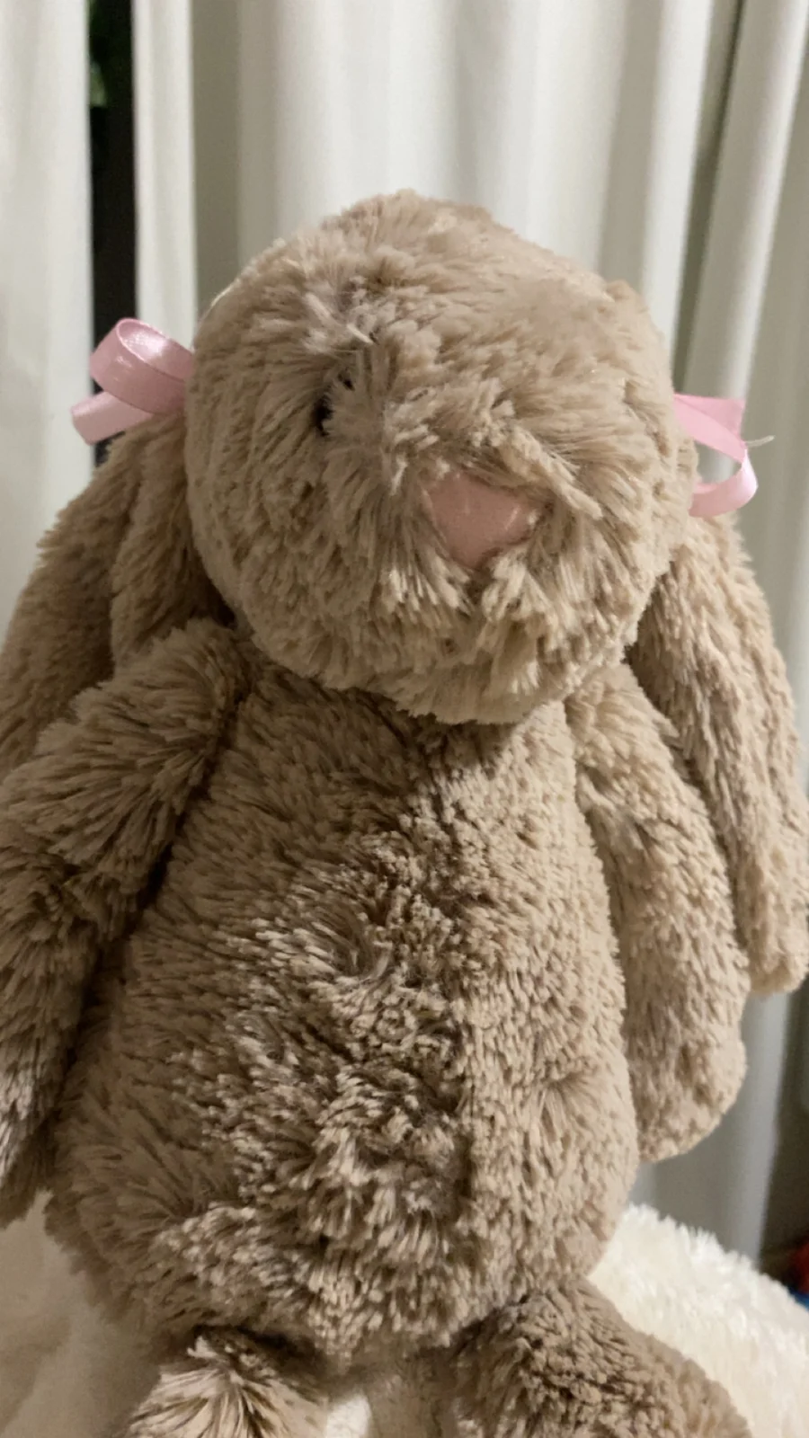 Front - Bashful Beige Bunny - Medium photo by elilovesjellies