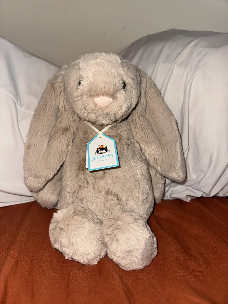 Front - Bashful Beige Bunny - Medium photo by Cassieroo