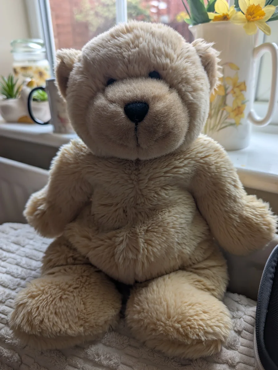 Front - Squidgy Bear photo by Robsyevs