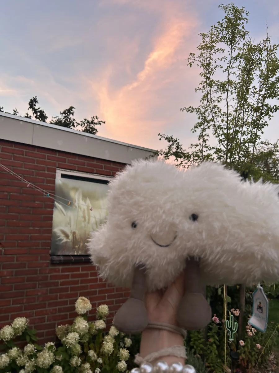 Front - Amuseables Cloud photo by Roosjesjelly’s