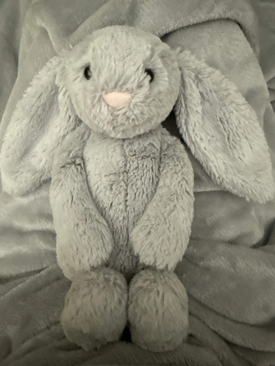 Front - Bashful Silver Bunny - Medium photo by maddycat130