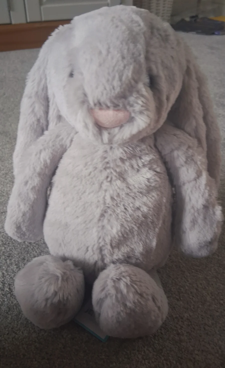 Front - Bashful Silver Bunny - Medium photo by Lilyjellyjournal