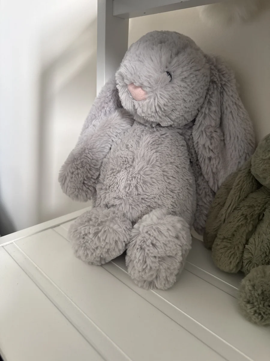 Front - Bashful Silver Bunny - Medium photo by ToniMearns
