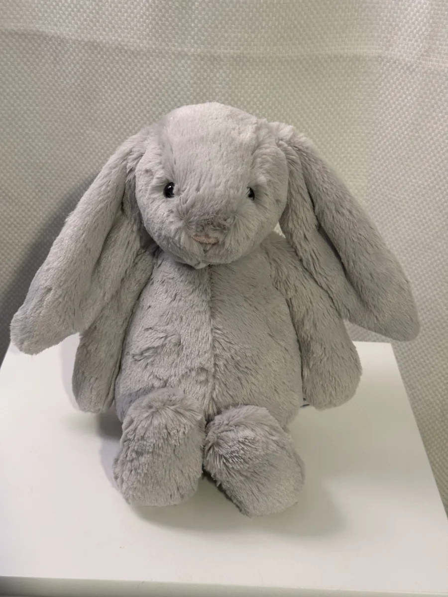 Front - Bashful Silver Bunny - Medium photo by Bunnylove