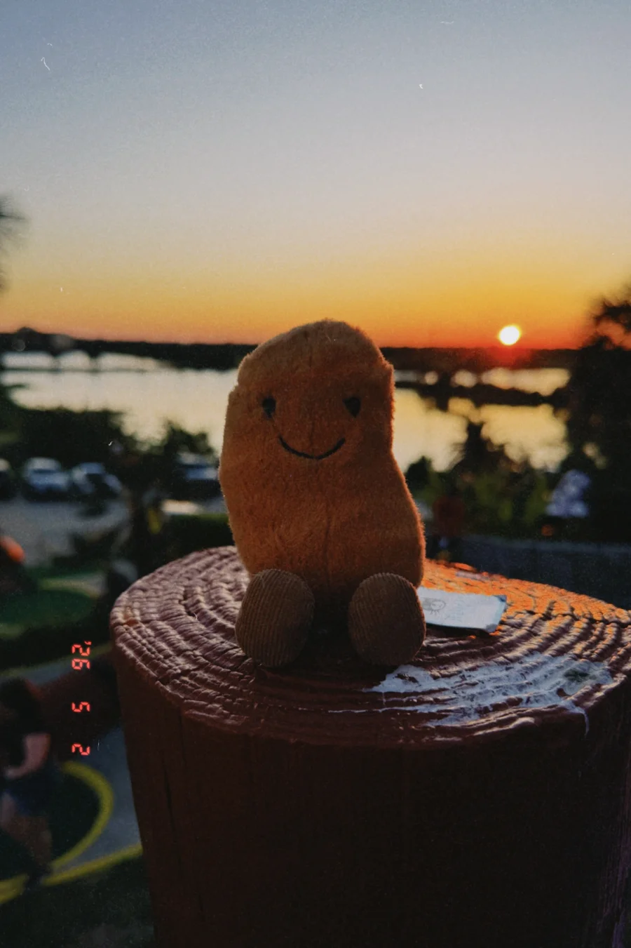 Front - Amuseables Bean photo by SadieS