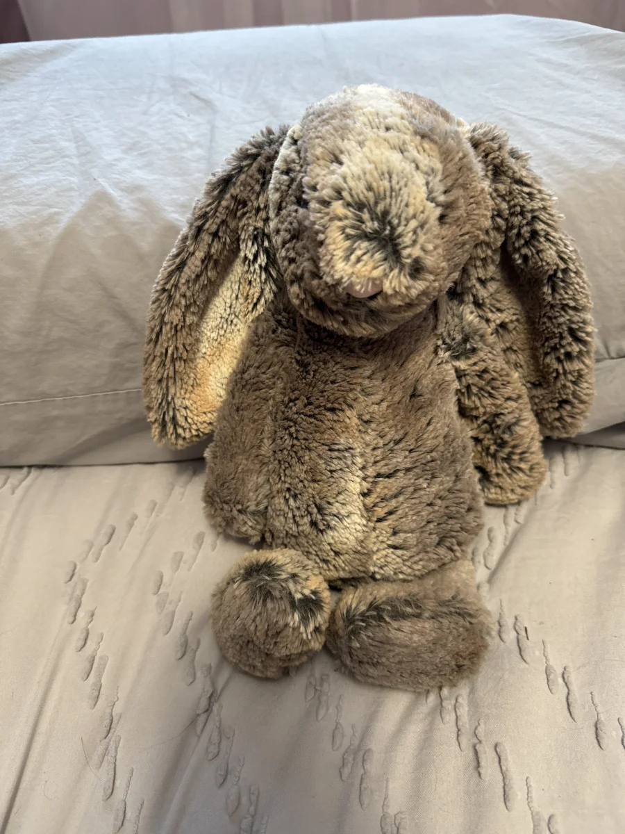 Front - Bashful Woodland Bunny - Small photo by EmmaLM