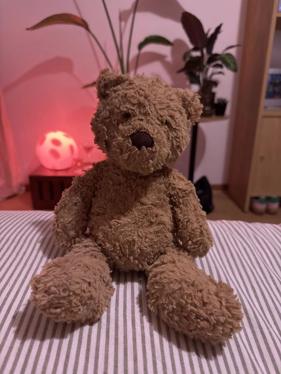 Front - Bumbly Bear photo by SanneLi