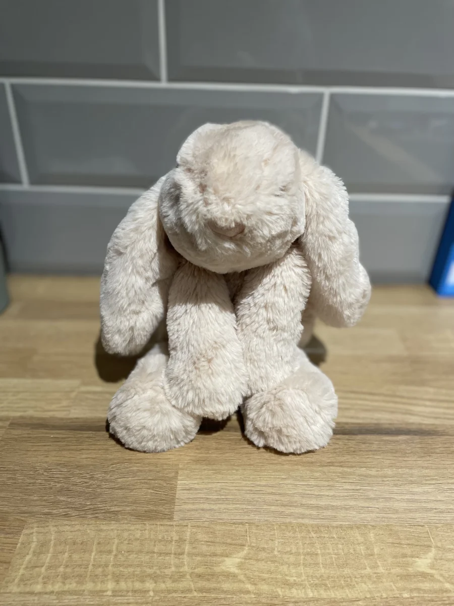 Front - Smudge Rabbit photo by cerys.lyne