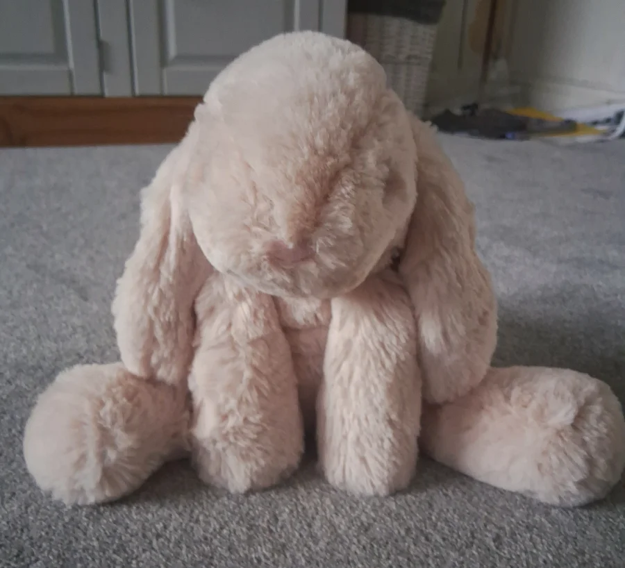 Front - Smudge Rabbit photo by Lilyjellyjournal