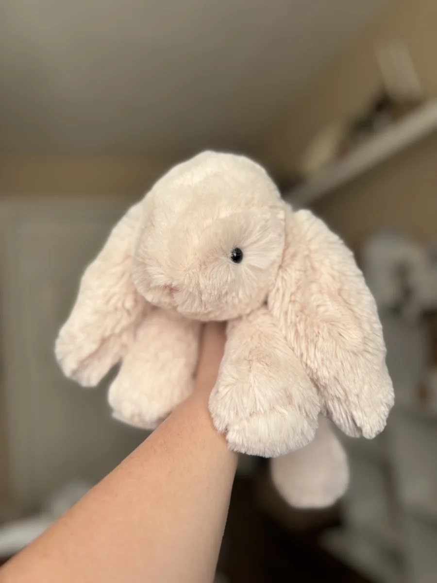Front - Smudge Rabbit photo by MaysJellys
