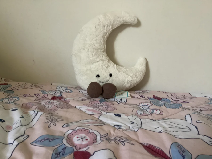 Front - Amuseables Moon - Medium photo by Lacey67
