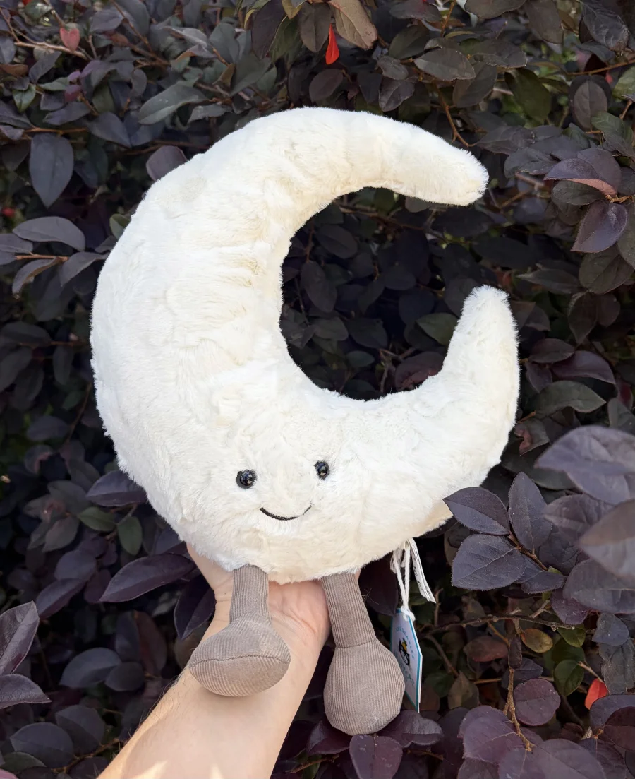 Front - Amuseables Moon - Medium photo by AmberrGolden