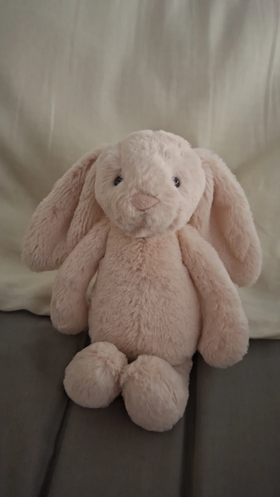 Front - Bashful Pink Bunny - Small photo by Marit_05