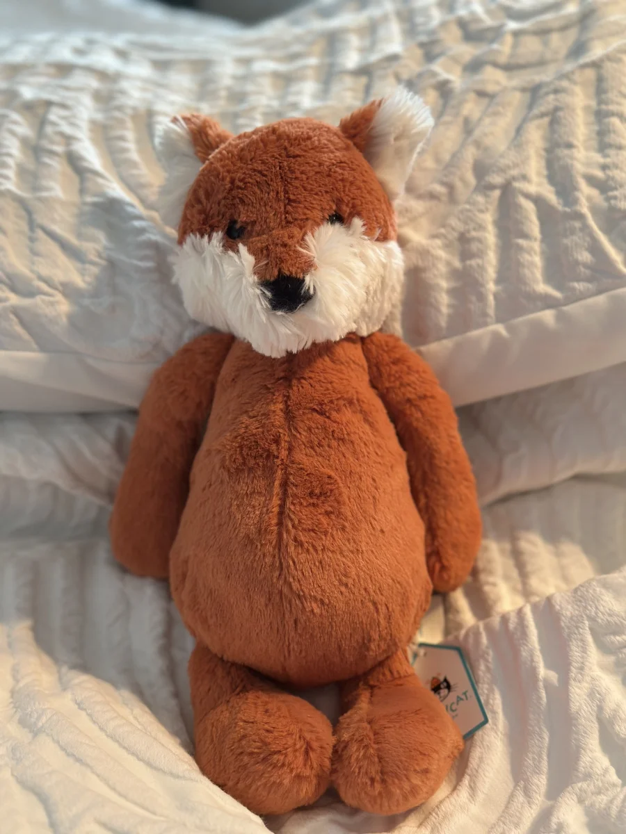 Front - Bashful Fox - Medium photo by BKhaveItYourWay