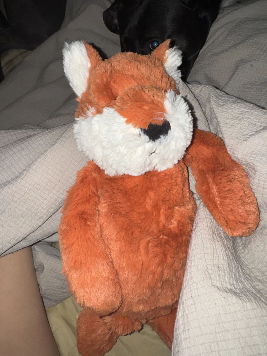 Front - Bashful Fox - Medium photo by sammiluvsplushi