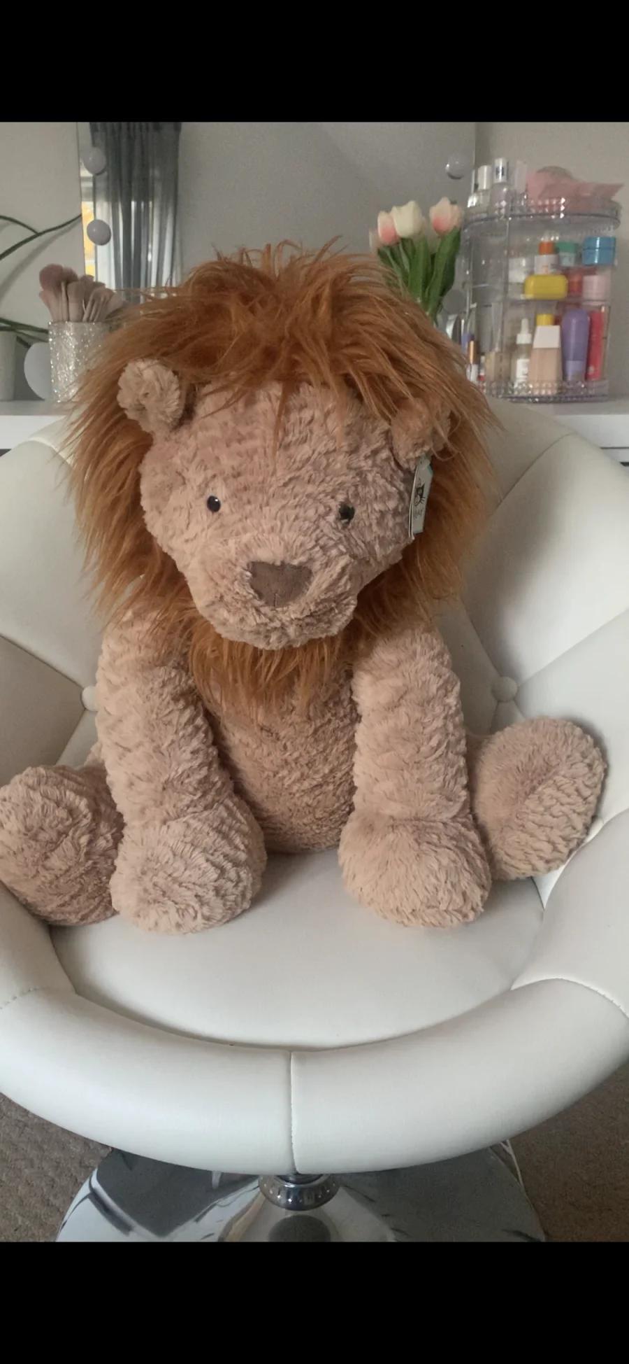 Front - Fuddlewuddle Lion - Medium photo by its.amb3rrx
