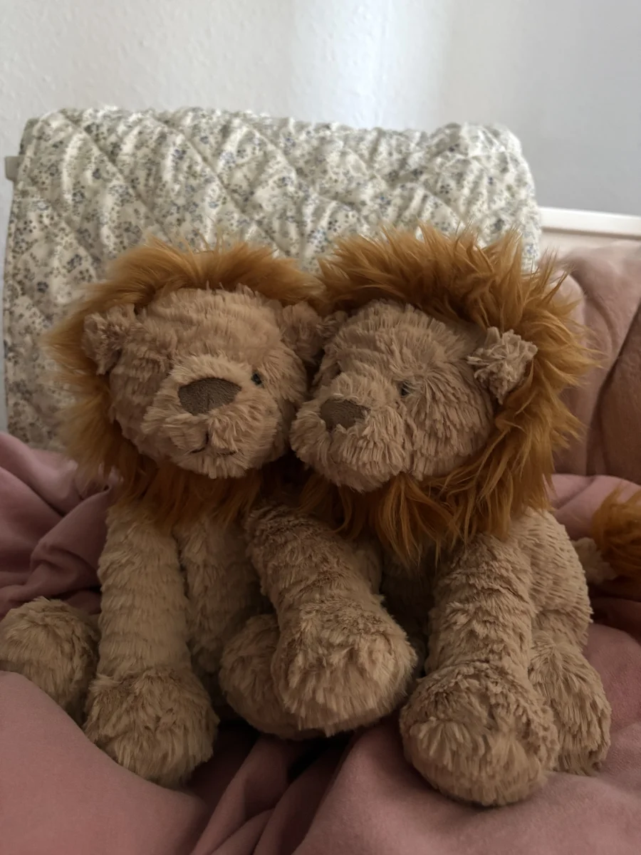 Front - Fuddlewuddle Lion - Medium photo by milahlnd