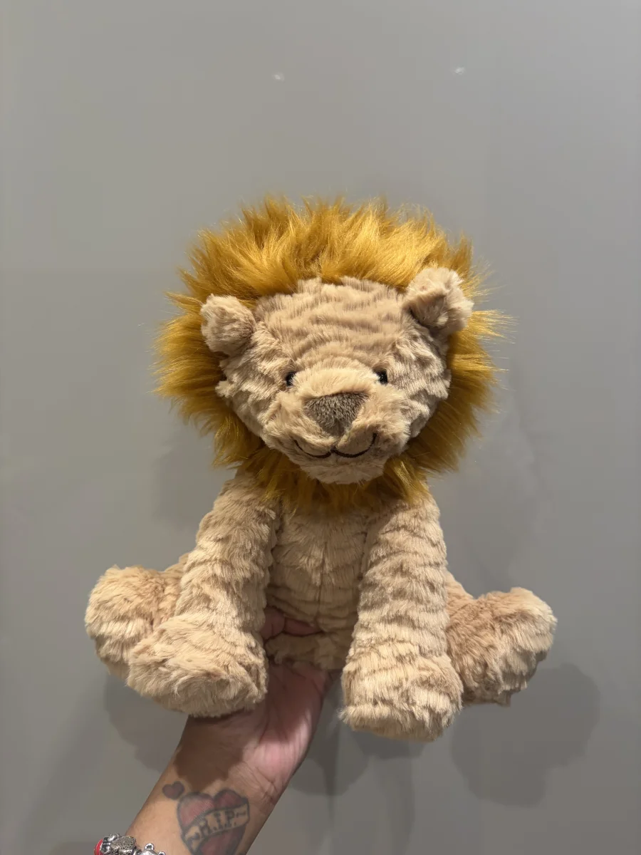 Front - Fuddlewuddle Lion - Medium photo by Seni113