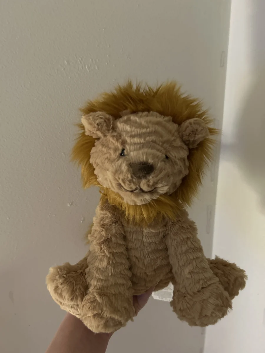Front - Fuddlewuddle Lion - Medium photo by Bellyjelly4444
