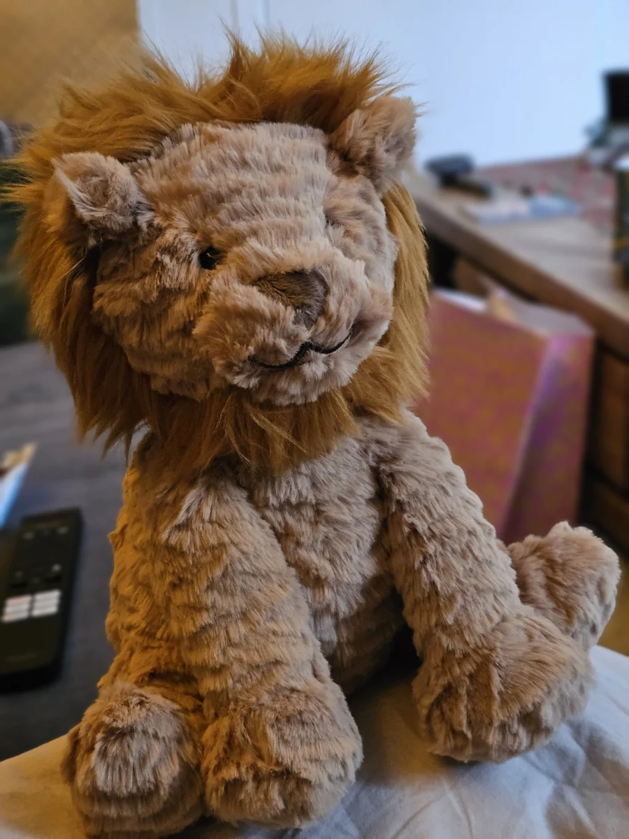 Lifestyle - Fuddlewuddle Lion - Medium photo by Feroniek