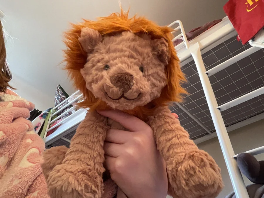 Front - Fuddlewuddle Lion - Medium photo by Louisa11226