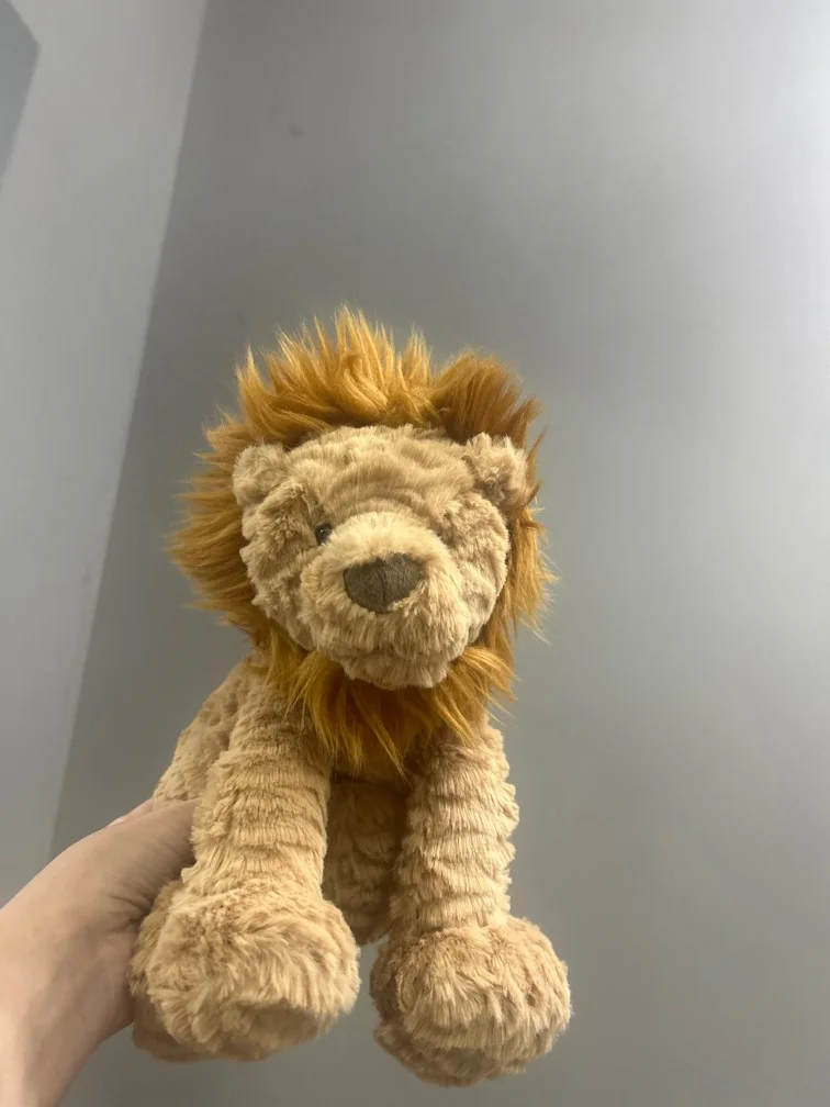 Front - Fuddlewuddle Lion - Medium photo by 1ntanjelly