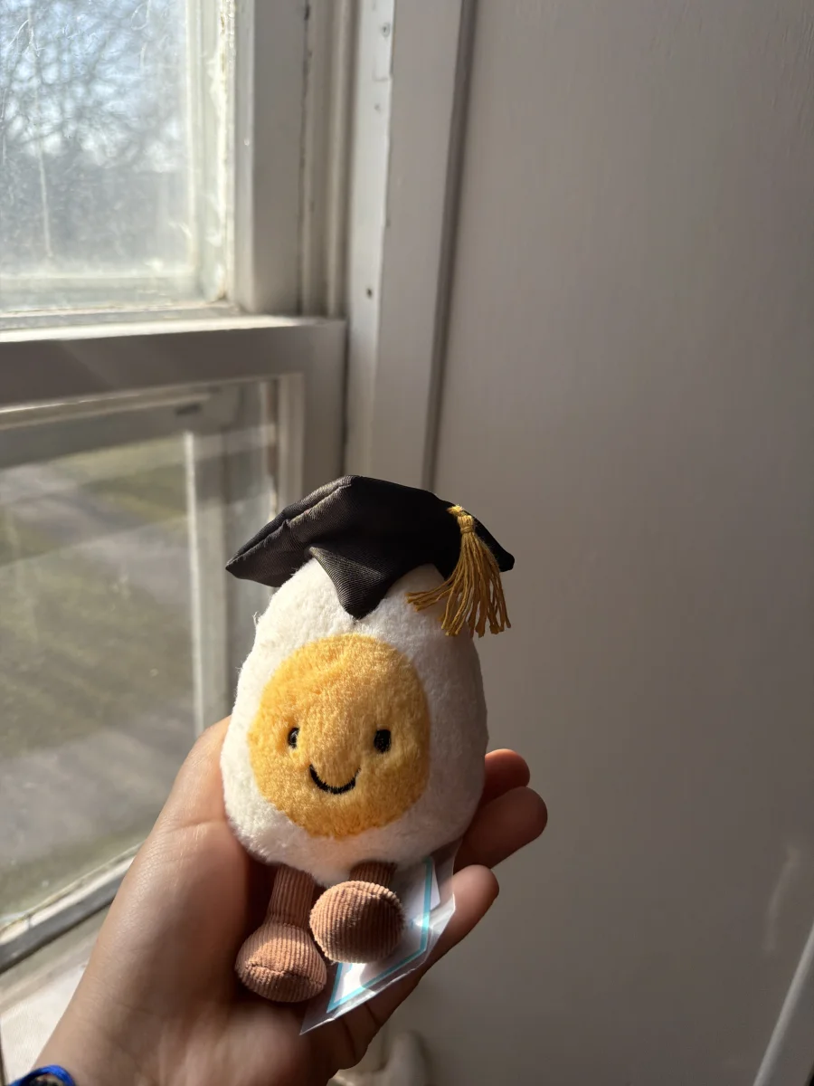 Front - Amuseables Boiled Egg Graduation photo by katsjellies