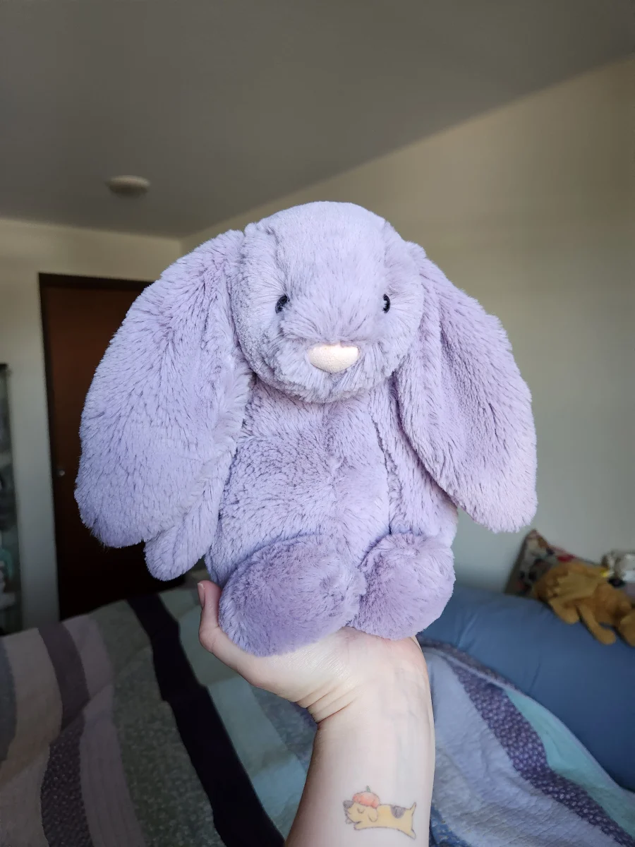 Front - Bashful Plum Bunny 1st Edition - Medium photo by emilliebee