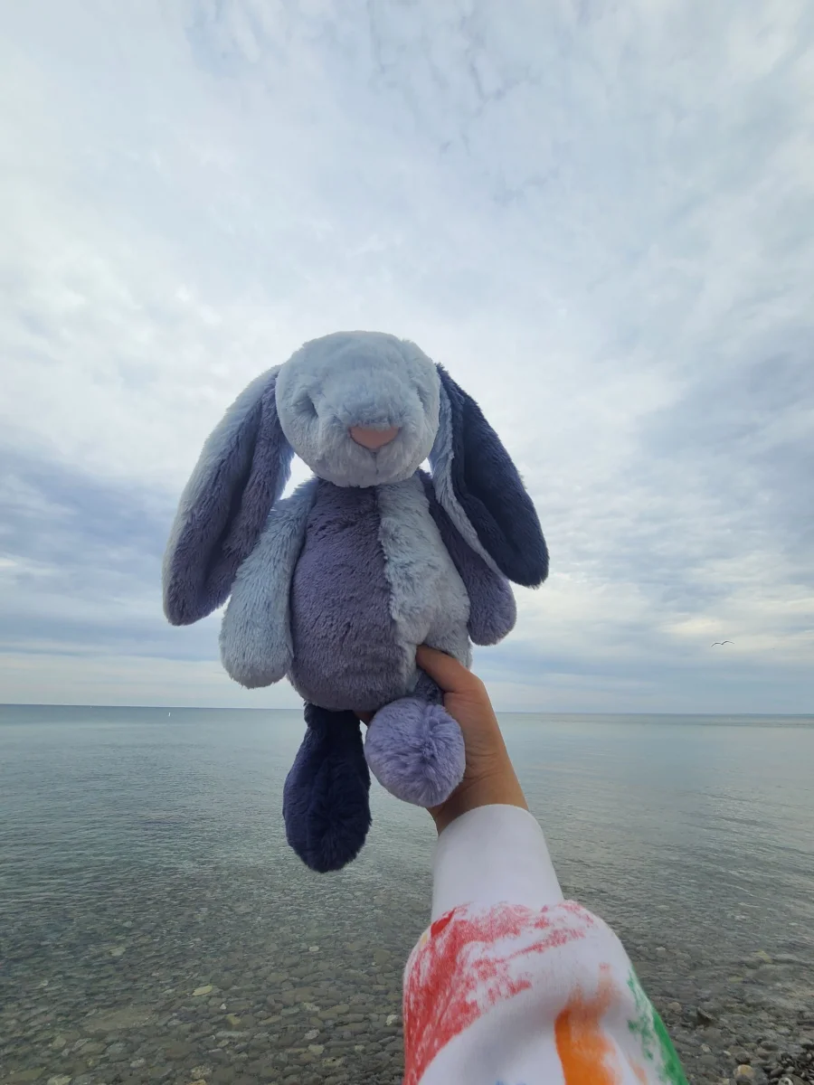 Lifestyle - Puddlesea Bunny photo by Julieeeee