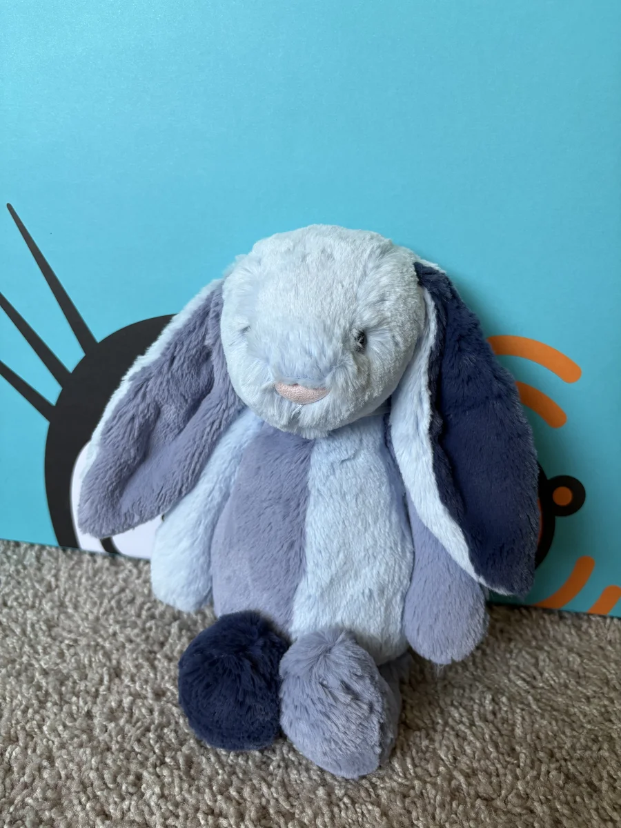 Front - Puddlesea Bunny photo by jojokitty